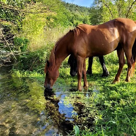 Vakantiehuis Pleine Nature